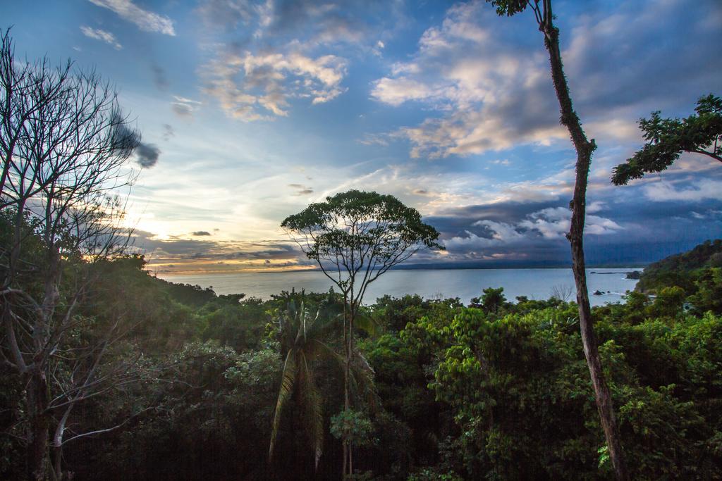 Issimo Suites (Adults Only) Manuel Antonio Exterior photo